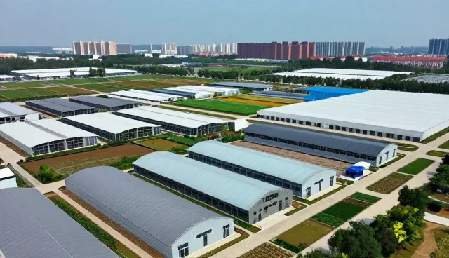 网络延迟优化如何重塑APP用户体验